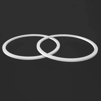 PTFE حلقة احتياطية